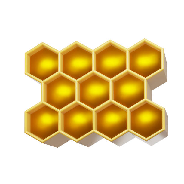 Honey concept with honeycomb on white background. 3d render.