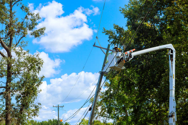 istock Workers are restoring power following damage caused by a violent hurricane 2192960370