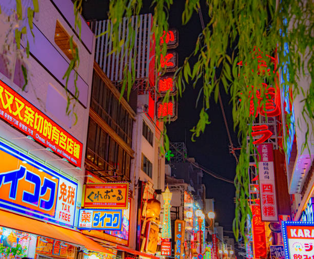 istock Dotonbori area and willow leaves in Osaka, Japan 2192962677