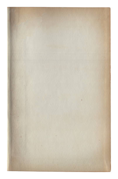 istock Vintage background of old ancient torn paper texture isolated 2192964003