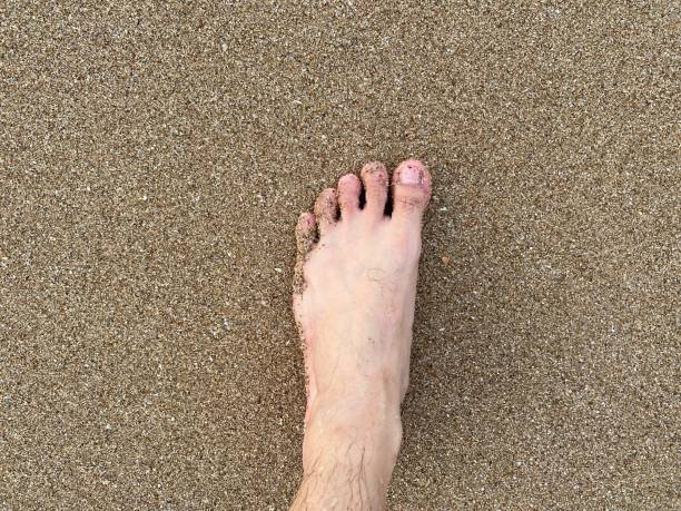 istock The First Human Footsteps on the Sand in the Sea 2192965979