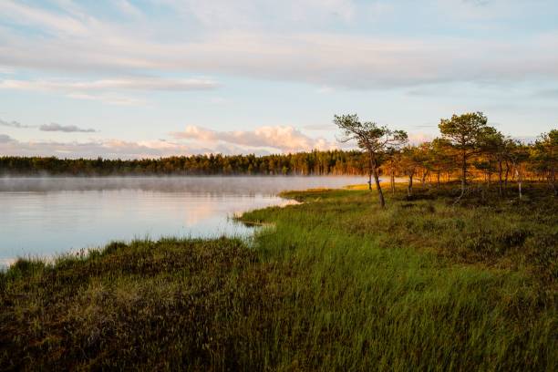 istock Serene lakeside landscape at sunrise 2192968643