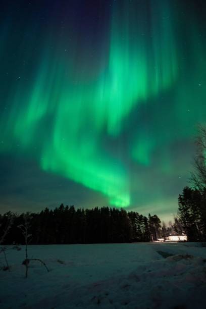 istock Northern Lights over Snowy Forest 2192968705