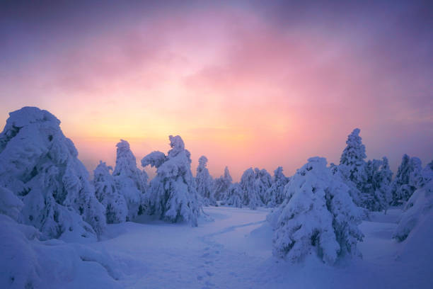 istock sunset light over beautiful winter landscape with snow over the trees 2192970117