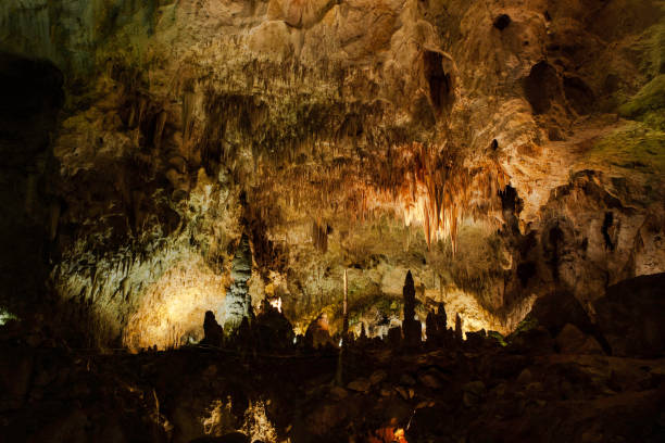 istock Carlsbad Caverns National Park 2192971615