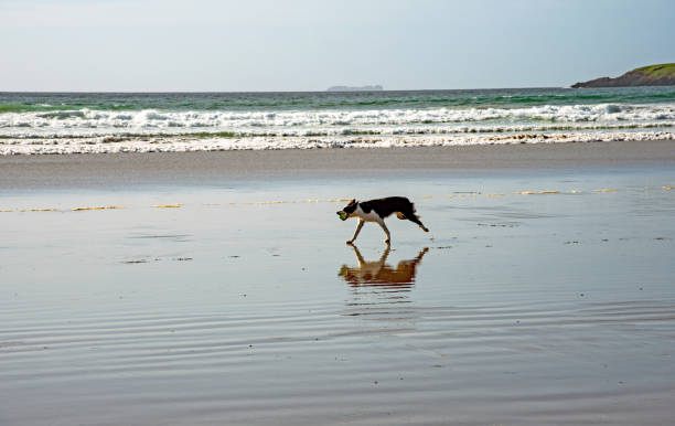 Atlantic waves on Keem Beach in Co, Mao, Ireland