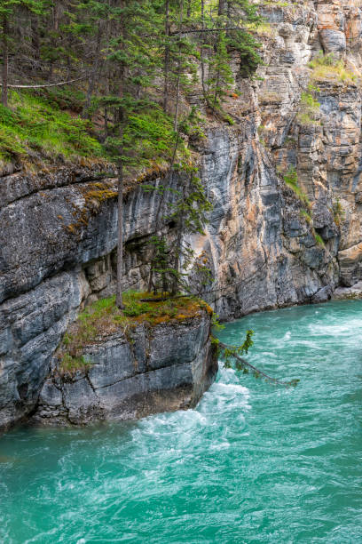 istock Maligne river in Maligne canyon, Jasper, Canada 2192975211