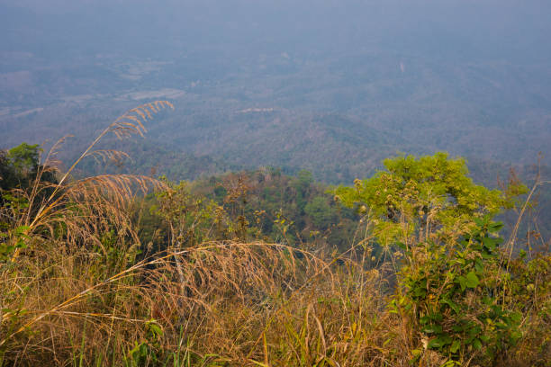 View into landscape from Ban Pong lookout in Chiang Mai province