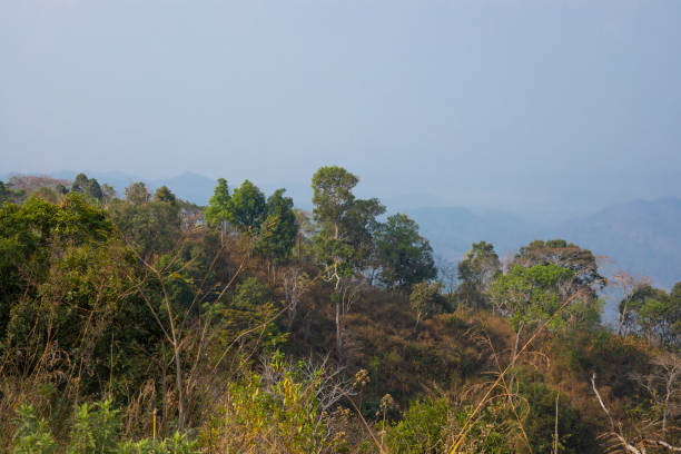 Landscape around Ban Pong mountain peak in Chiang Mai province