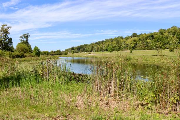 istock Quiet Pond in the Country 2192975771