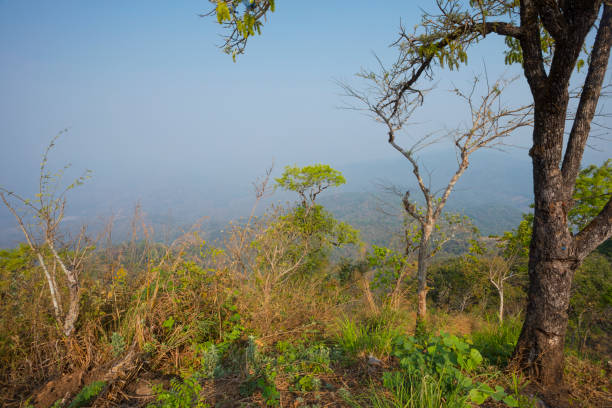 Horizon view from Ban Pong lookout  in Chiang Mai province