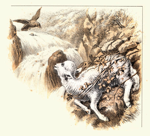 Parable of the Lost Sheep or Lamb, Bible, religious illustration, Victorian 19th Century