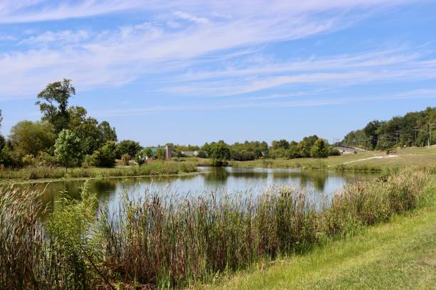 istock Pond in the Countryside 2192976153