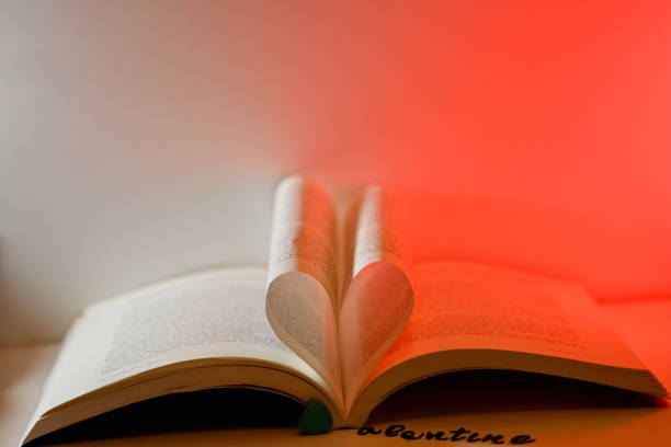 for the love of books on valentines day