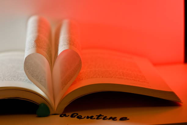 for the love of books on valentines day