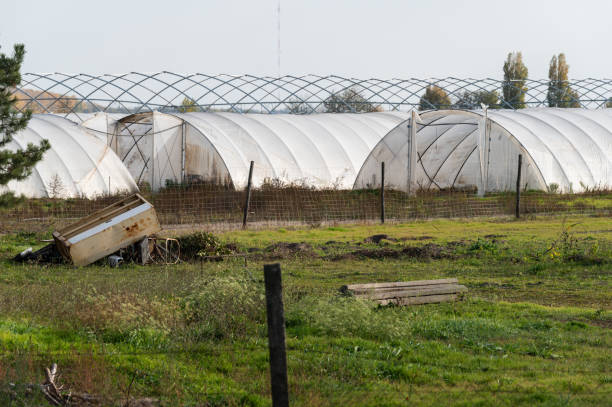 istock Rural greenhouses in agricultural setting 2192978026