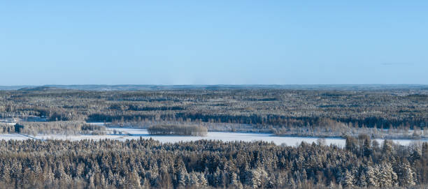 Winter landscape with frozen Baltic Sea coast. Natural photo taken on a sunny day