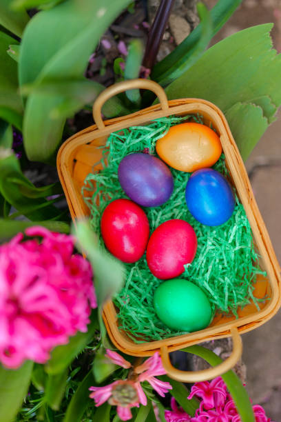 istock Easter Egg Hunt .Pink, blue Easter eggs in a basket in hyacinth flowers in a spring garden.Easter holiday tradition. 2192979774