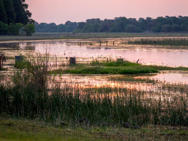 istock Evening atmosphere on the Thamalkane River near Thamalkane Lodge. 2192985064