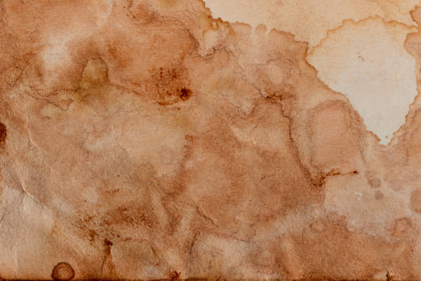 istock Blank old yellow aged paper vintage and texture background. 2192985894
