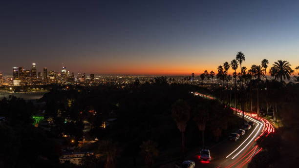 Downtown Los Angeles after sunset with light trails and palm trees