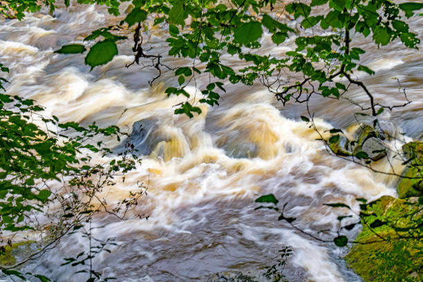 The River Allen at Plankey Mill, Northumberland.