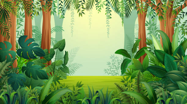 Jungle background with trees and green leaf Vector illustration of Jungle background with trees and green leaf rainforest stock illustrations