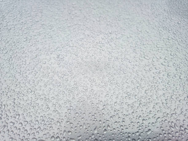 Close-up of raindrops on a surface, showcasing patterns and textures created by water. Ideal for nature-themed projects.