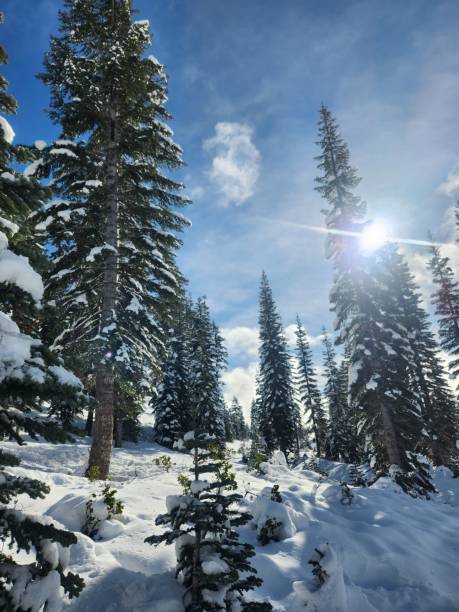 istock Winter Wonderland 2192995053