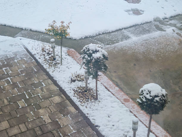 Snow-covered garden with neatly trimmed bushes and a stone pathway creating a serene winter landscape