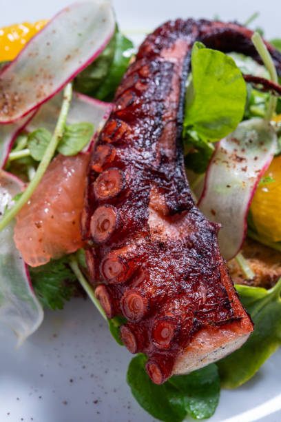 istock Grilled Octopus with Citrus Salad Close up 2192997596
