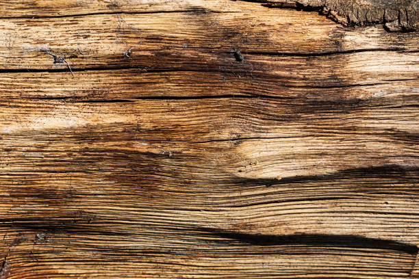 istock Wood abstract texture. Surface grunge backdrop. Dirty wooden effect pattern. Material background. 2192998500