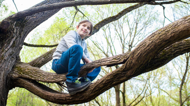 istock 11 year old boy sitting on a tree branch in the park in spring 2193000934
