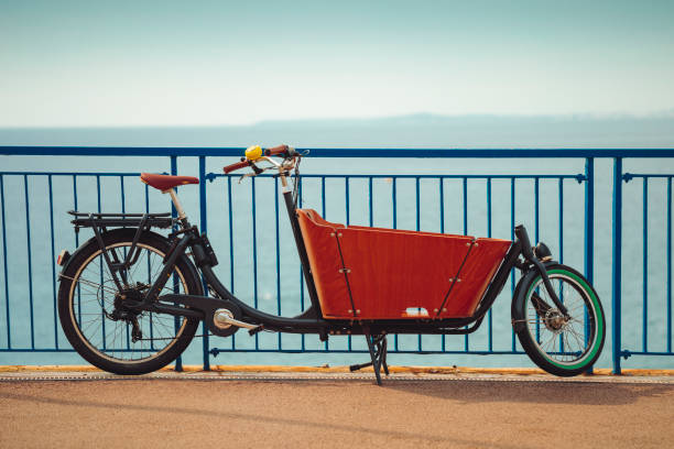 Carrier bicycle for cargo transportation on the sea side