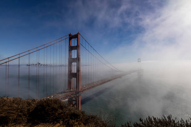 Sea mist clears from the beautiful Golden Gate Bridge in San Fransisco revealing the bay, boats and grey pelicans flying around create a haunting scene of mystery.