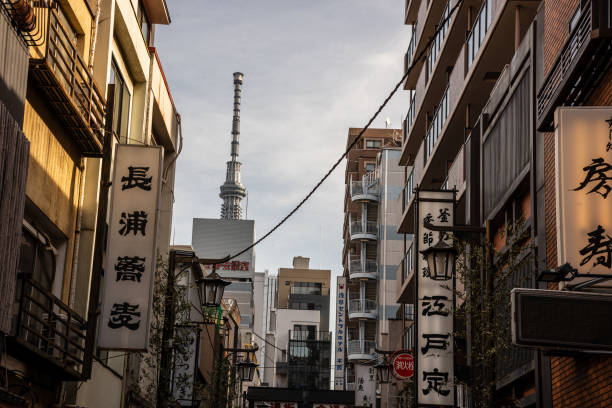 istock Tokyo, Japan, December 20, 2024 2193005596