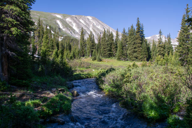 istock Summer stream winding through the forest in the Rocky Mountains 2193005987