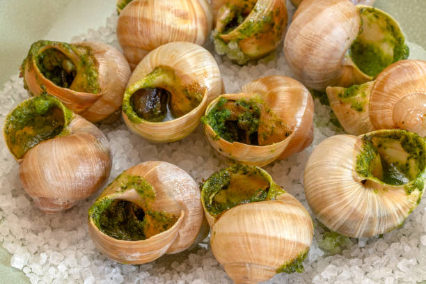 istock dozen snails, close-up, on a plate 2193007451