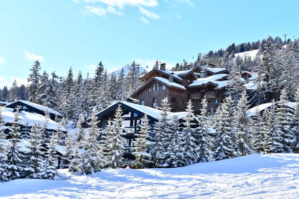 istock Ski resort view with chalets between snowy trees 2193011933