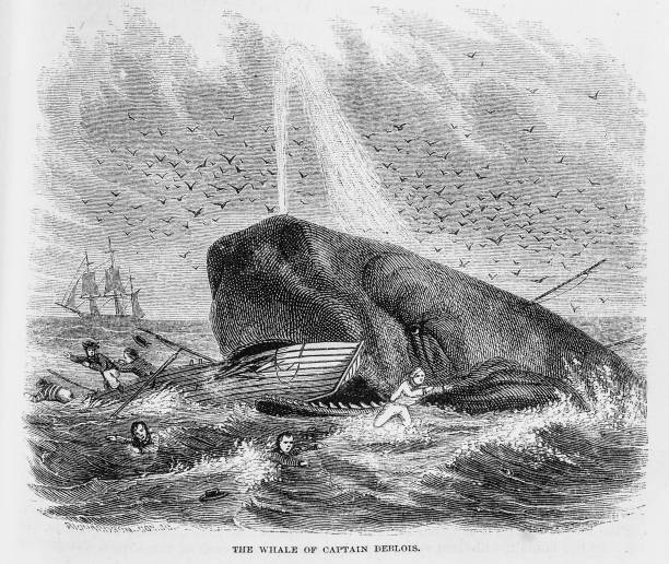istock The Whale of Captain Deblois 2193015024