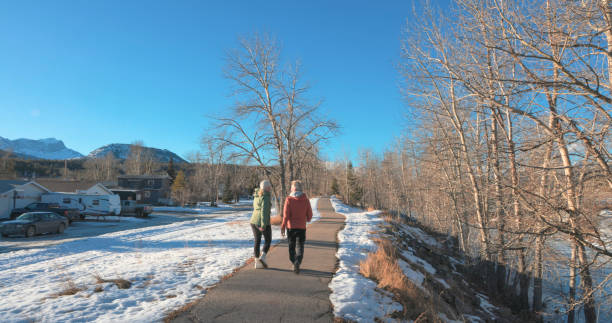 istock Mature couple walk along snowy path in winter 2193018787