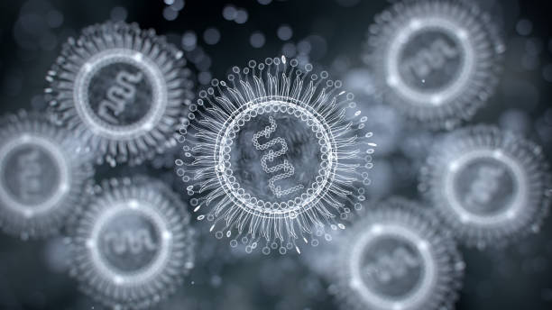Human metapneumovirus.