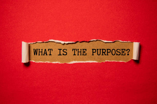 istock Wooden blocks form the words 'What's your purpose. 2193020836