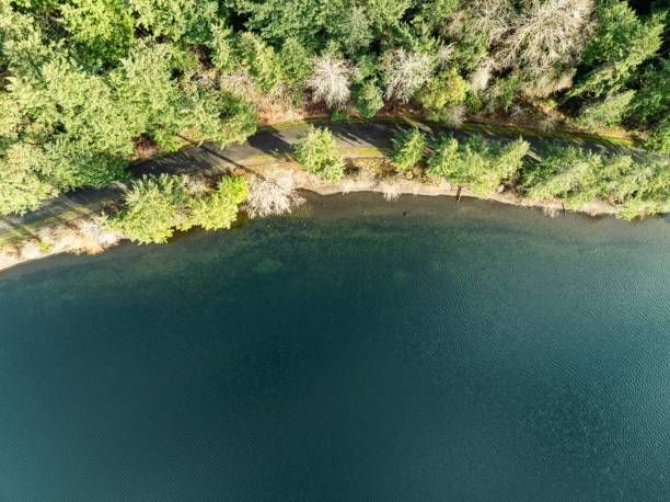 istock Seward Park In Seattle Washington 2193022914