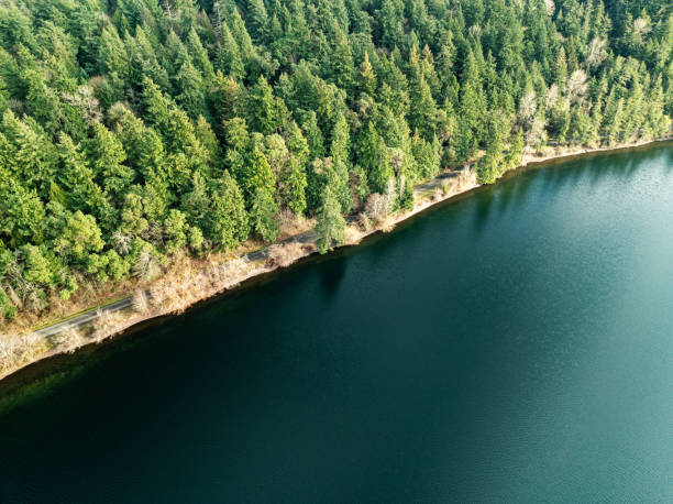 Seward Park In Seattle Washington