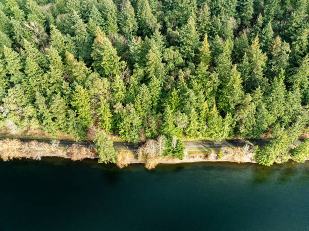 istock Seward Park In Seattle Washington 2193022920