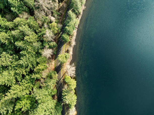 istock Seward Park In Seattle Washington 2193022923