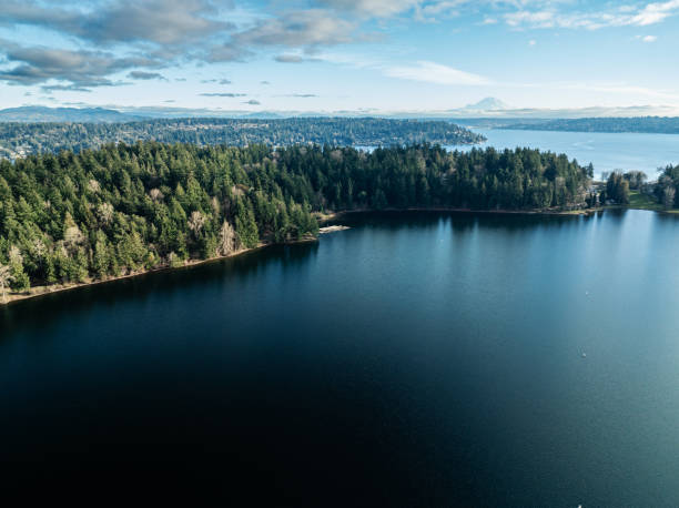 Seward Park is a natural gem of forests located in Seattle Washington State USA.  The park is on a peninsula in Lake Washington.  Mt Rainier is visible in the background. Latitude 47° 33' 27\