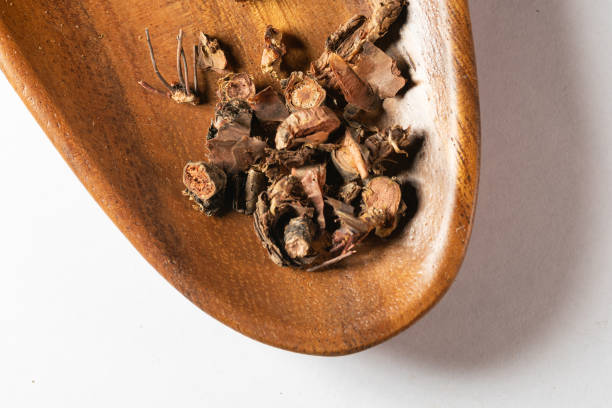 istock chinese medicine Rhodiola rosea root  on white background 2193023091