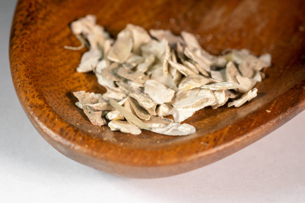 chinese medicine  oysters shell